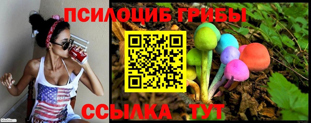 Курчатов  купить закладку  Вход с VPN  Галлюциногенные грибы прущие грибы 